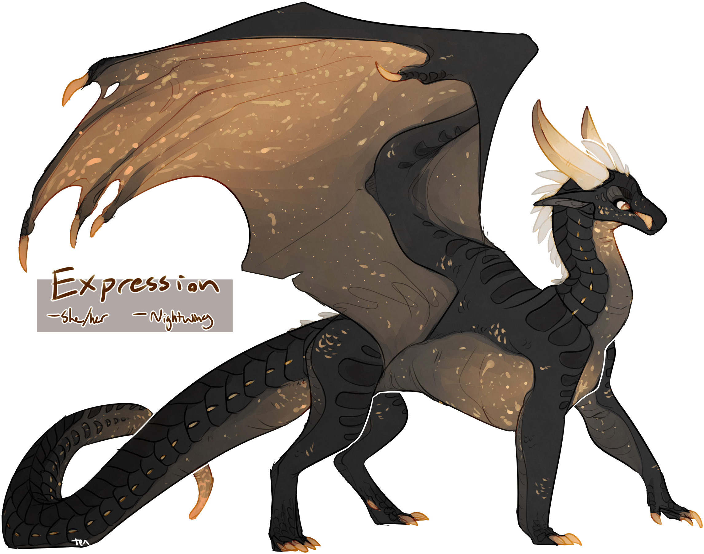 Dragon Drawingswings Of Firedragon - Wings Of Fire Realtense (2500x2000)