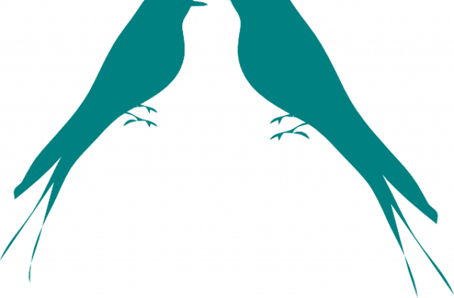 Love Bird Silhouette - Bird Silhouette (640x420)