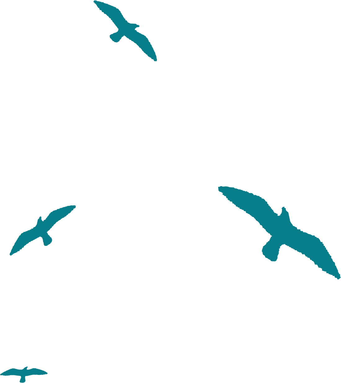 Bird Silhouette - Birds Silhouette - Bird Silhouette - Birds Silhouette (1100x1234)