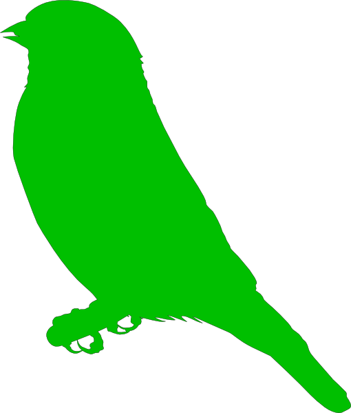 Green Bird Clip Art - Finch Clipart (510x599)