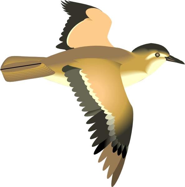 Free Flying Bird Outline Download Free Clip Art Free - Flying Bird Clipart Transparent (594x601)