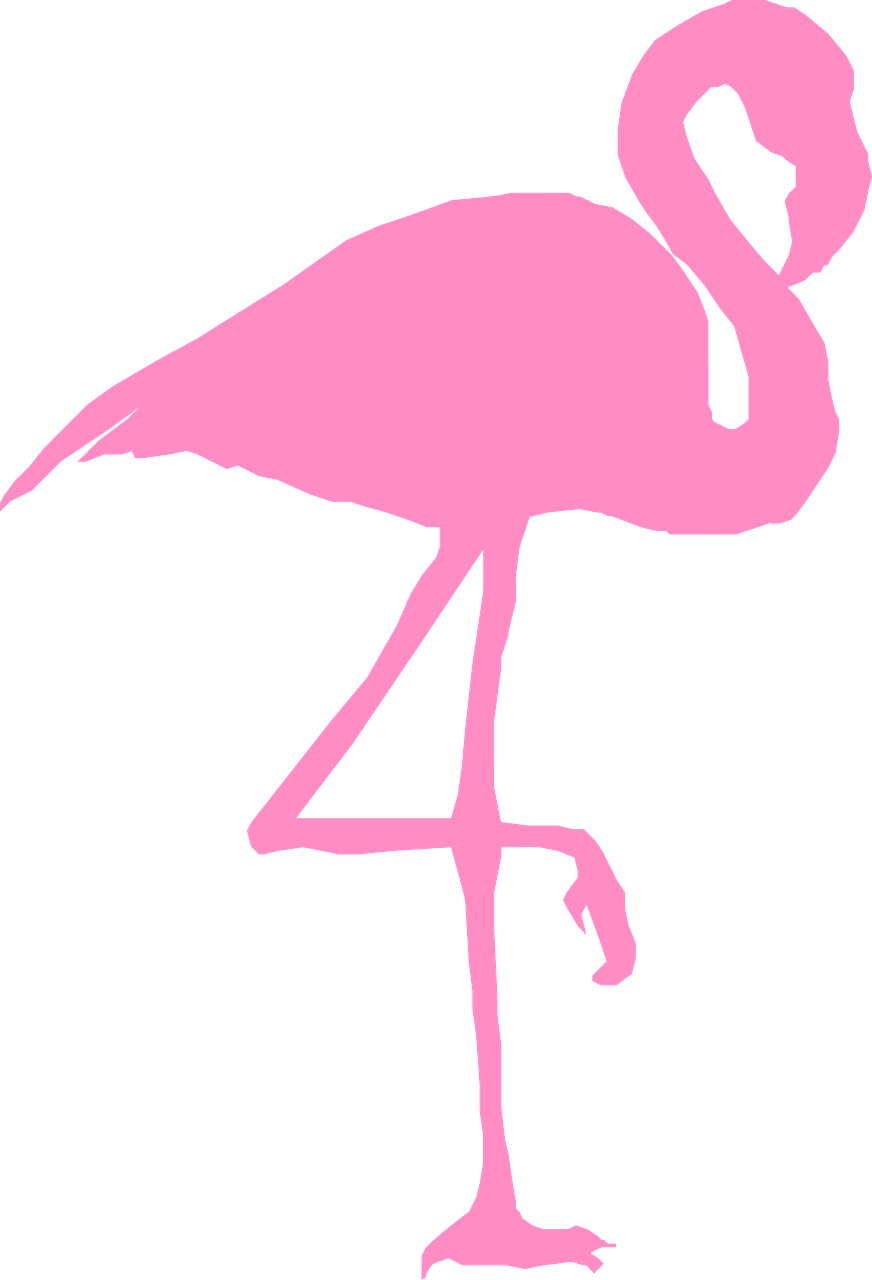Flamingo Bird Silhouette Pink Png Image - Clip Art Flamingo (872x1280)