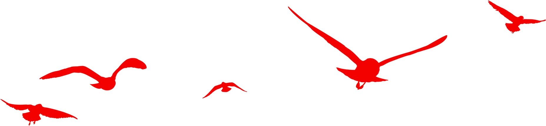 Red Birds Flying - 飛鳥 剪影 (1882x516)