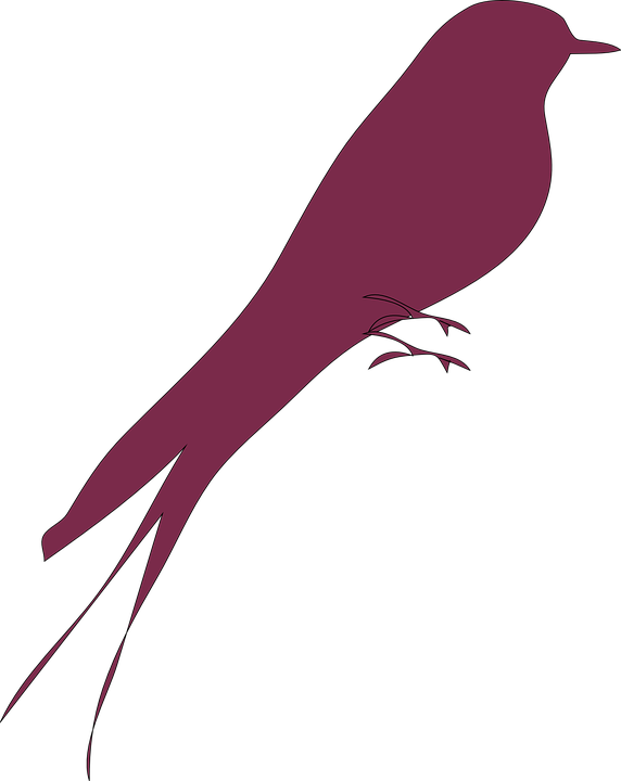 Love Bird Clipart - Love Bird Silhouette Png (572x720)