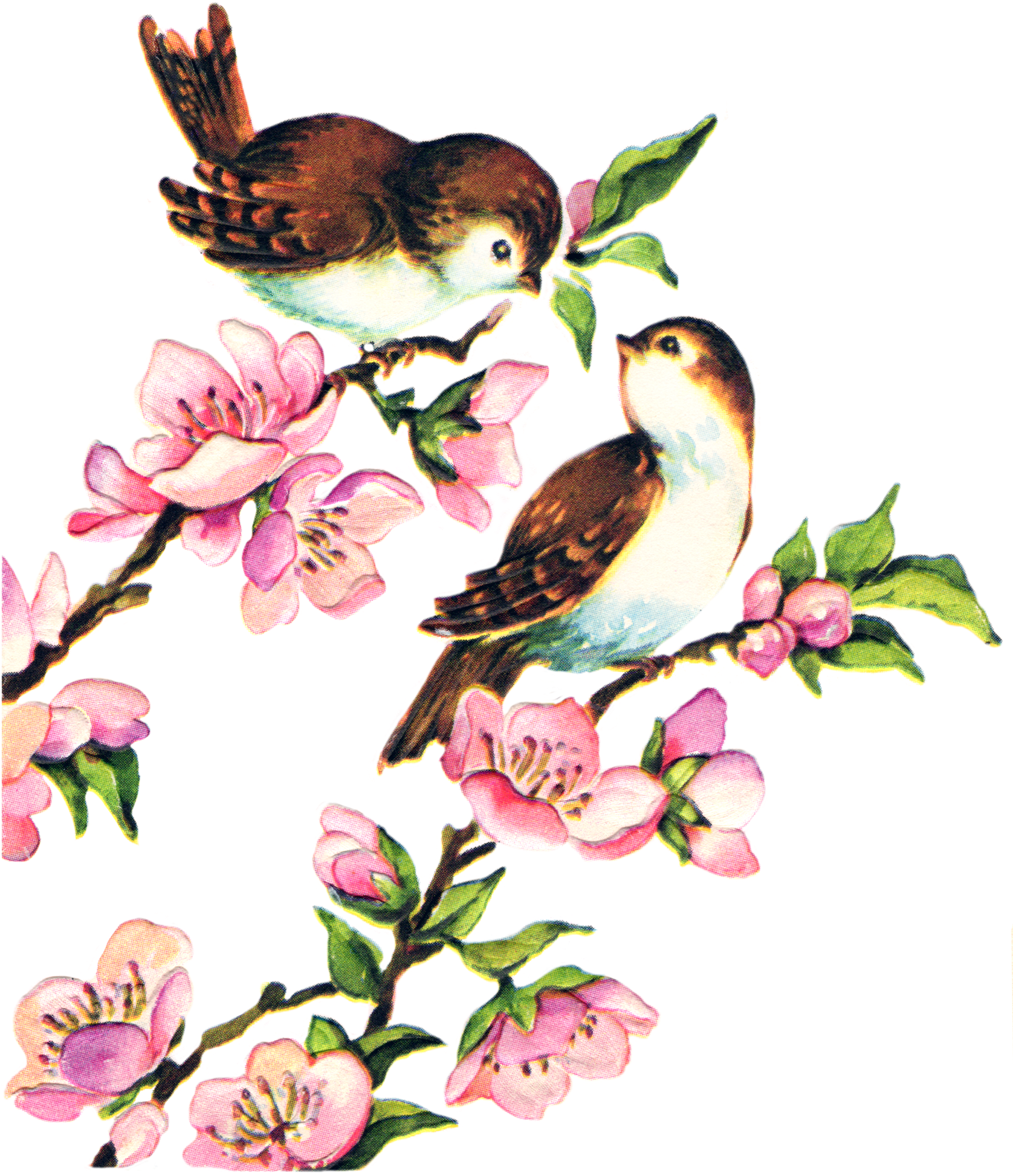 Free Vintage Bird Collage Sheet - Vintage Bird (1827x2079)