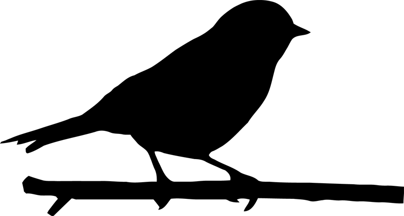 Bird Branch Silhouette Clip Art - Hotel Ruiseñor San Miguel De Allende (800x429)