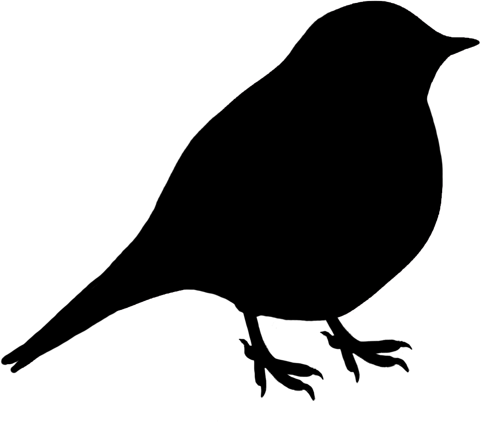 Songbird Clipart Bird Shadow - Silhouette Of A Bird (1008x924)