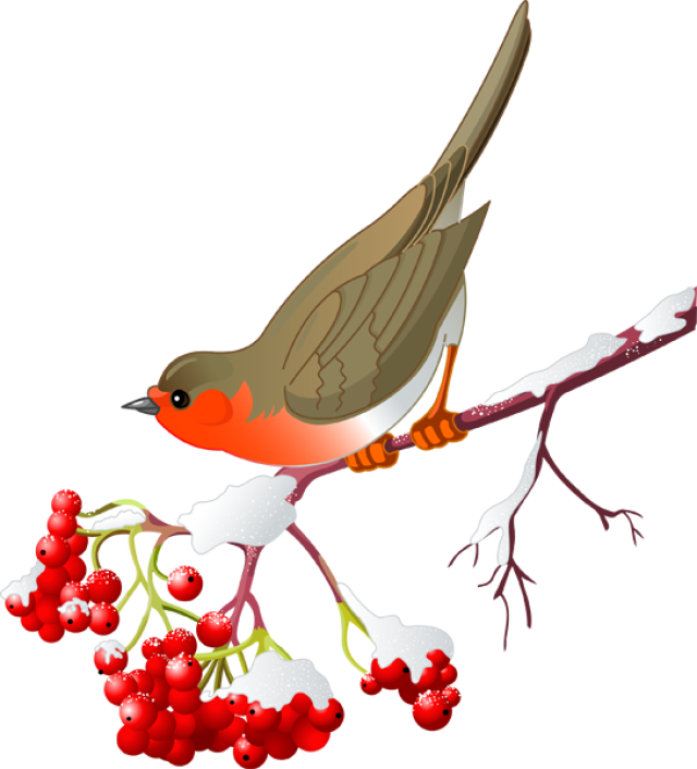 Pretty Bird Clipart - Red Cardinal Clipart (640x706)