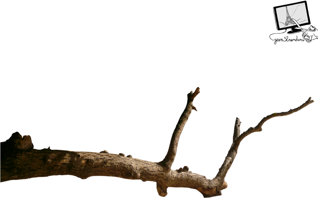 Branch Bird Clip Art - Branch Bird Clip Art (1024x768)
