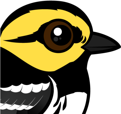 The Golden-cheeked Warbler Is A Small Species Of Migratory - Golden-cheeked Warbler (440x440)