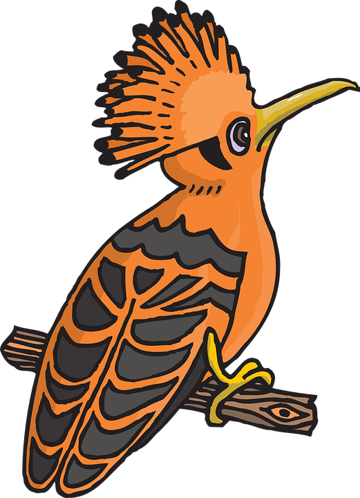 Orange Cartoon Hoopoe Clip Art At Clker - Hoopoe Clipart (521x720)