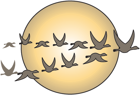 The Cat In The Hat Has A Migration Game For You From - Bird Migration Clipart (462x316)