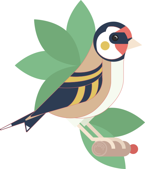 Discover Other Species - Finch (500x584)