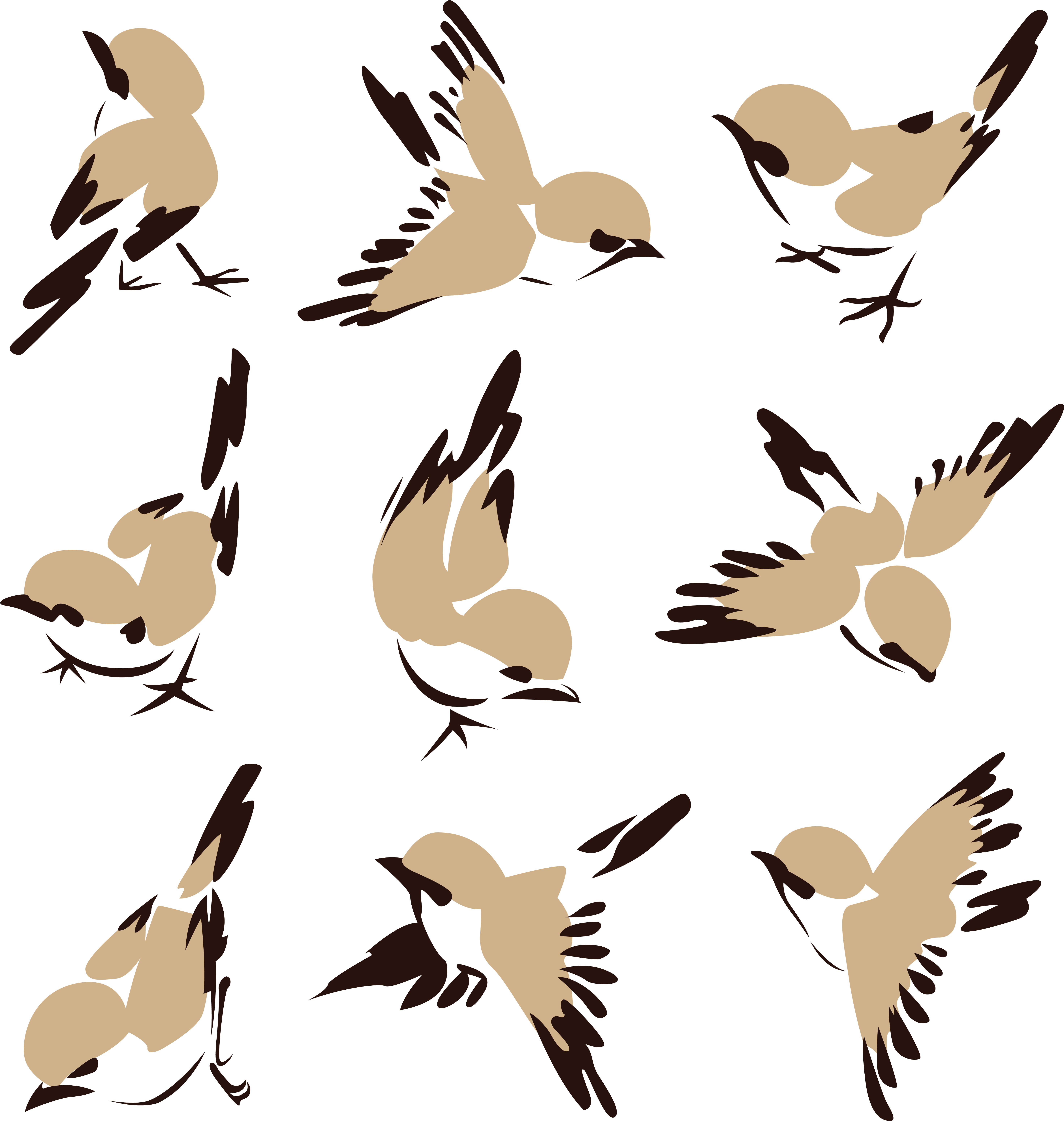 Картинка В Png - Sparrow Vector (5911x6217)