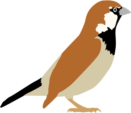 Song Sparrow Bird House Sparrow Clip Art - Sparrow Clipart Transparent (508x508)