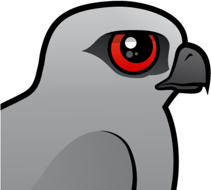 The Mississippi Kite Is A Medium Sized Bird Of Prey - Mississippi Kite (440x440)