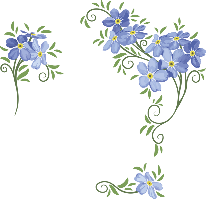 Letterhead, Room Decorations, Birdhouses, Clip Art, - Scroll With Flowers (800x773)