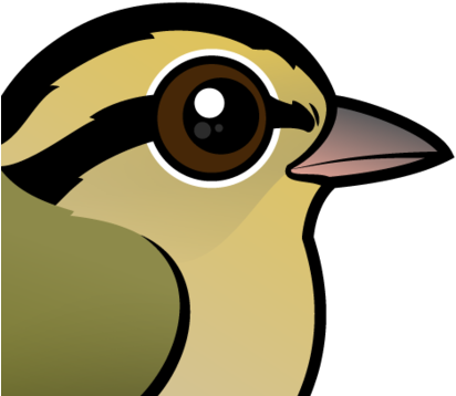 The Worm Eating Warbler Is A Small And Relatively Plainly - Worm-eating Warbler (440x440)