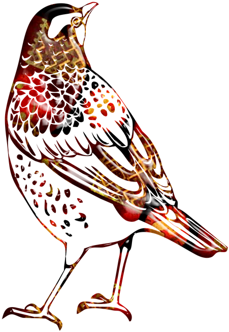 Bird Outline Cliparts 11, - Cafepress ! Iphone 7 Tough Case (720x720)