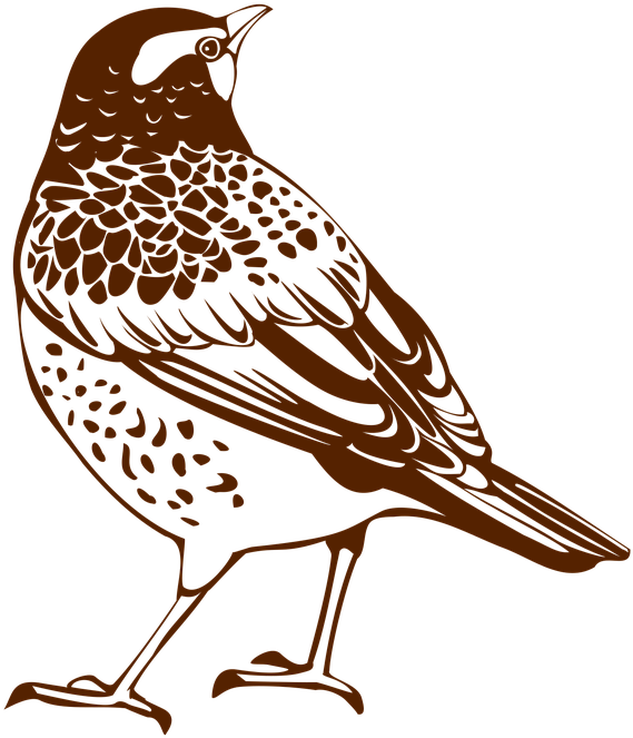 Migrating Animals Cliparts 10, - Illustration (720x720)