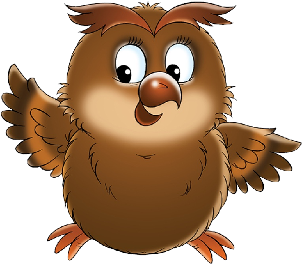 Owl's - Owl Bird Cartoon (600x600)