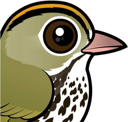 Species Of New World Warbler That Breeds Across Much - Ovenbird Png Transparent (440x440)