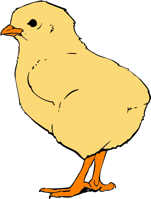 Chicks Closeup - Scalable Vector Graphics (571x768)