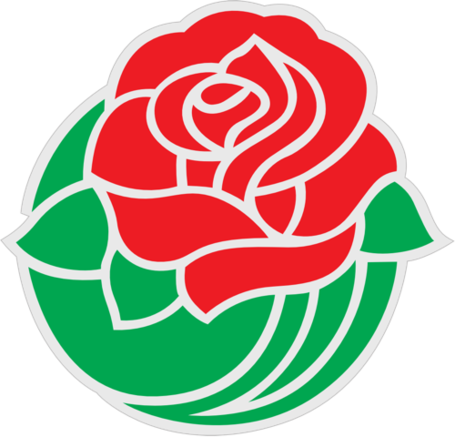 Rose Bowl - Pasadena Tournament Of Roses (455x437)