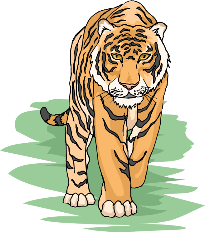 Tiger Clipart Cliparts And Others Art Inspiration - Tiger Clipart (671x750)