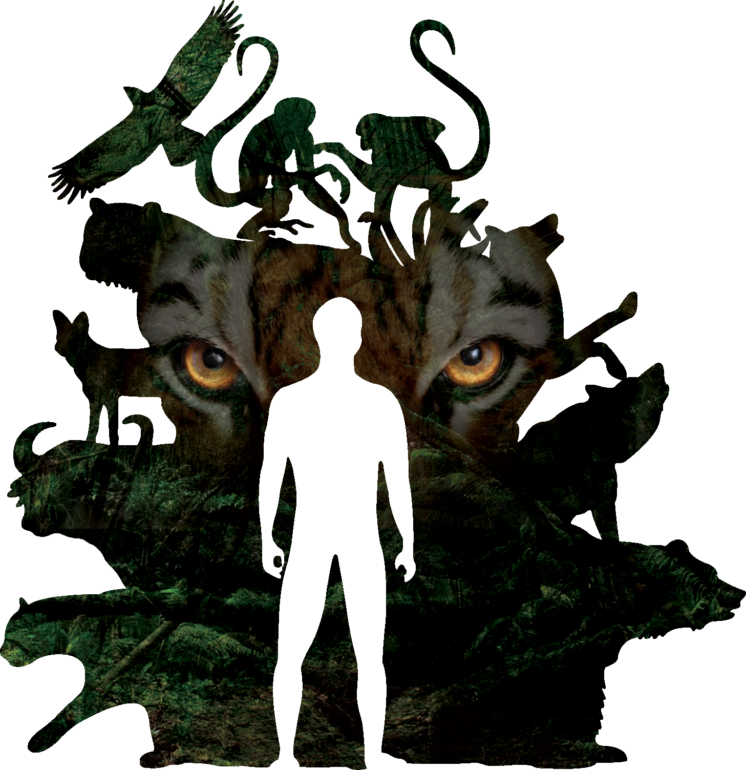 Illustrationzz - Illustration (1457x1503)