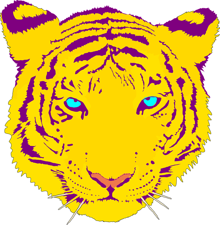 Blue Eyed Tiger - Fannin Elementary School El Paso Texas (702x720)