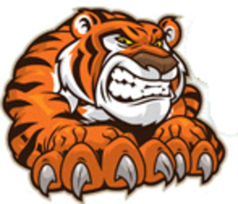Dupont High School - Tiger Claws Cartoon (480x411)