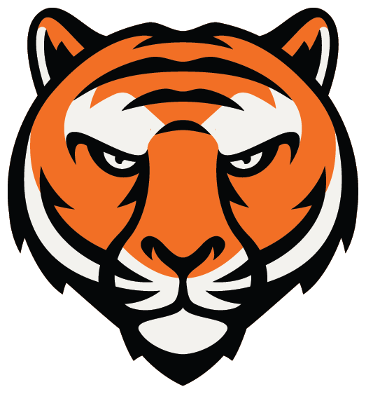 Tiger - Lacrosse (523x562)