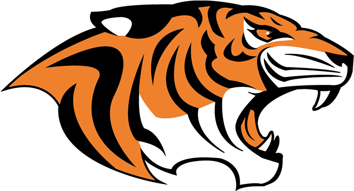 Pgh Tigers Softball & Baseball - Pittsburgh Tigers Softball (960x375)