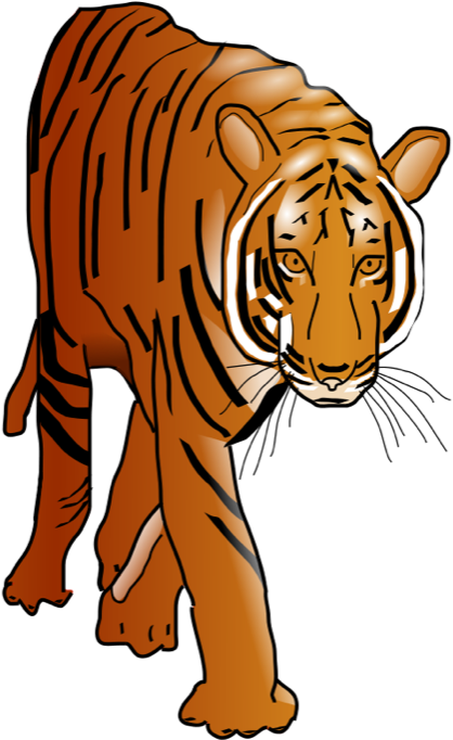 Color Tiger Clip Art At Clker Com Vector Clip Art Online - Tiger Clipart (428x700)