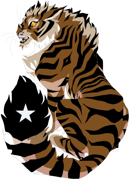 Tiger Face Outline Clipart - Clip Art (500x699)