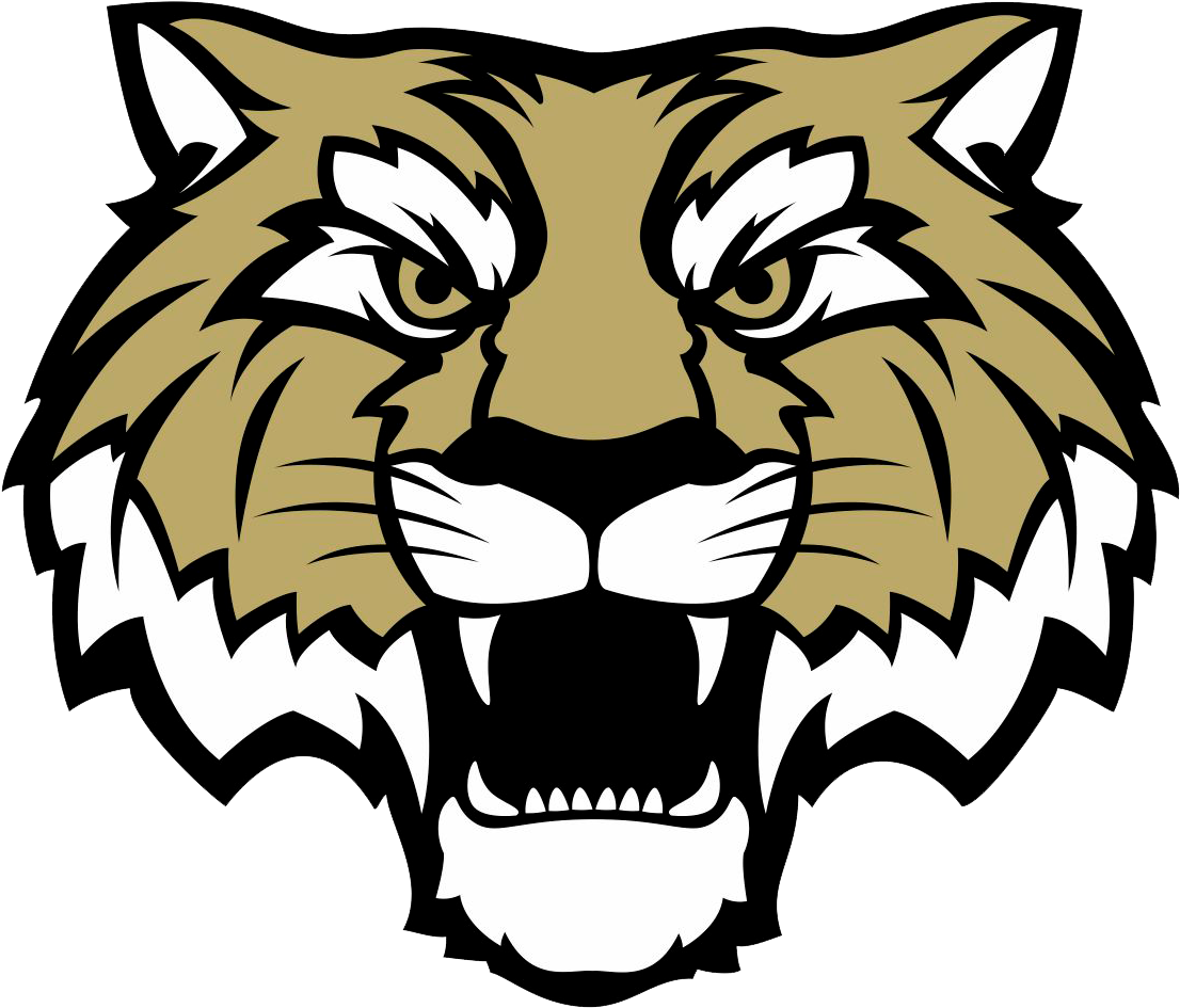 Lebanon Tigers - Lebanon High School Indiana (1147x984)