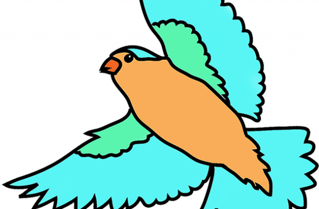 Colorful Flying Birds Png - Colorful Bird Flying Drawing (640x420)
