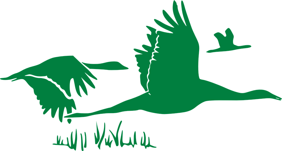 Flock Of Birds Clipart Wildlife - Rumi Quotes On Helping (960x514)