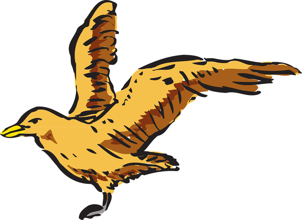 View Bird Flying Wings Side Png Image - Bird Side View Png (1280x934)