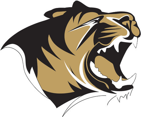 3rd Annual Bentonville Tiger Open - Bentonville Tigers Logo (492x492)