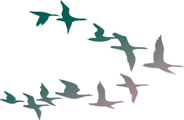 Birds In Flight Clip Art - Flock Of Birds Clipart (600x392)