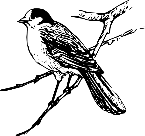 Maya Bird Clip Art (600x566)