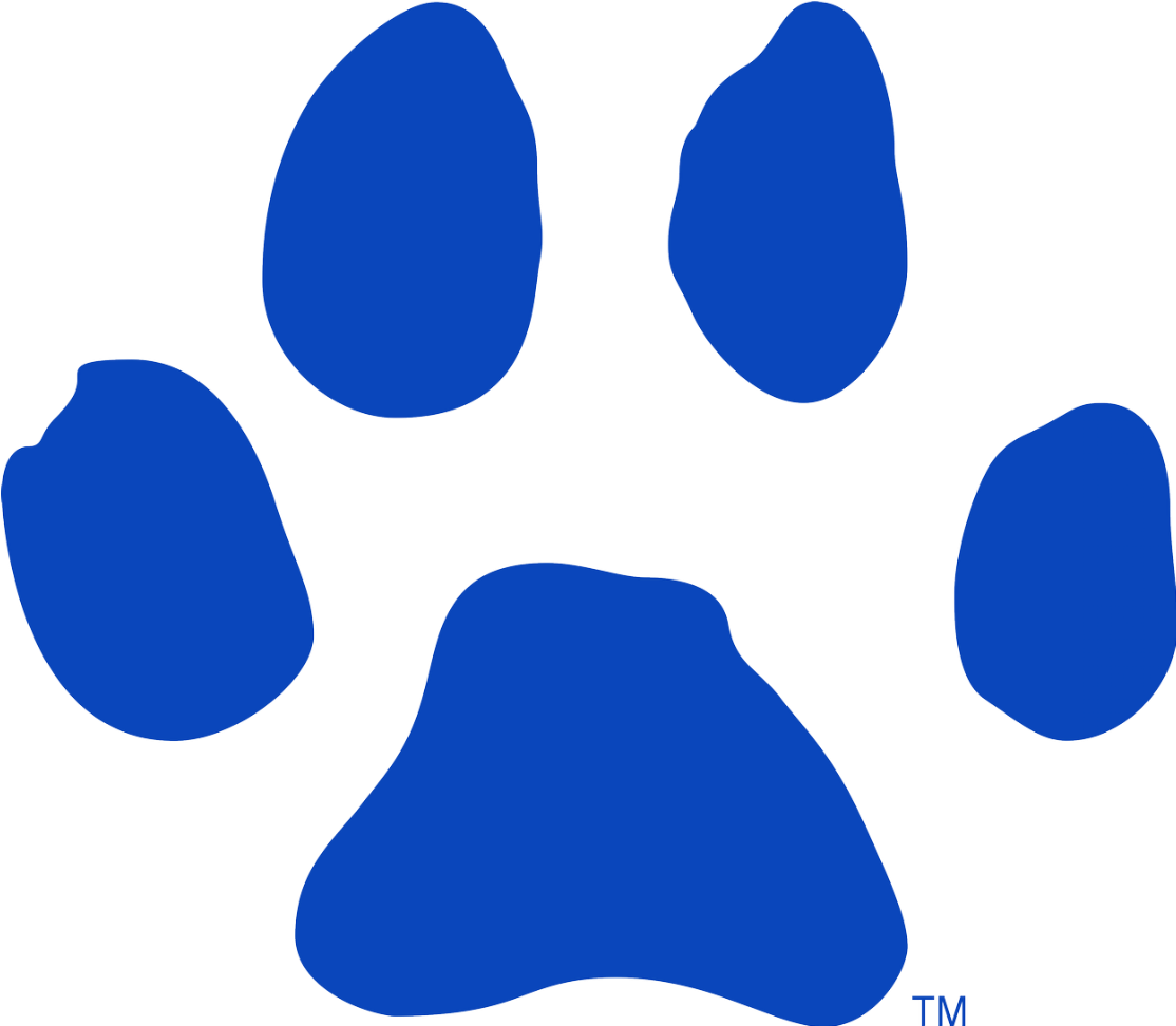 Gildan Softstyle Tee - Paw Prints White Background (1666x1820)