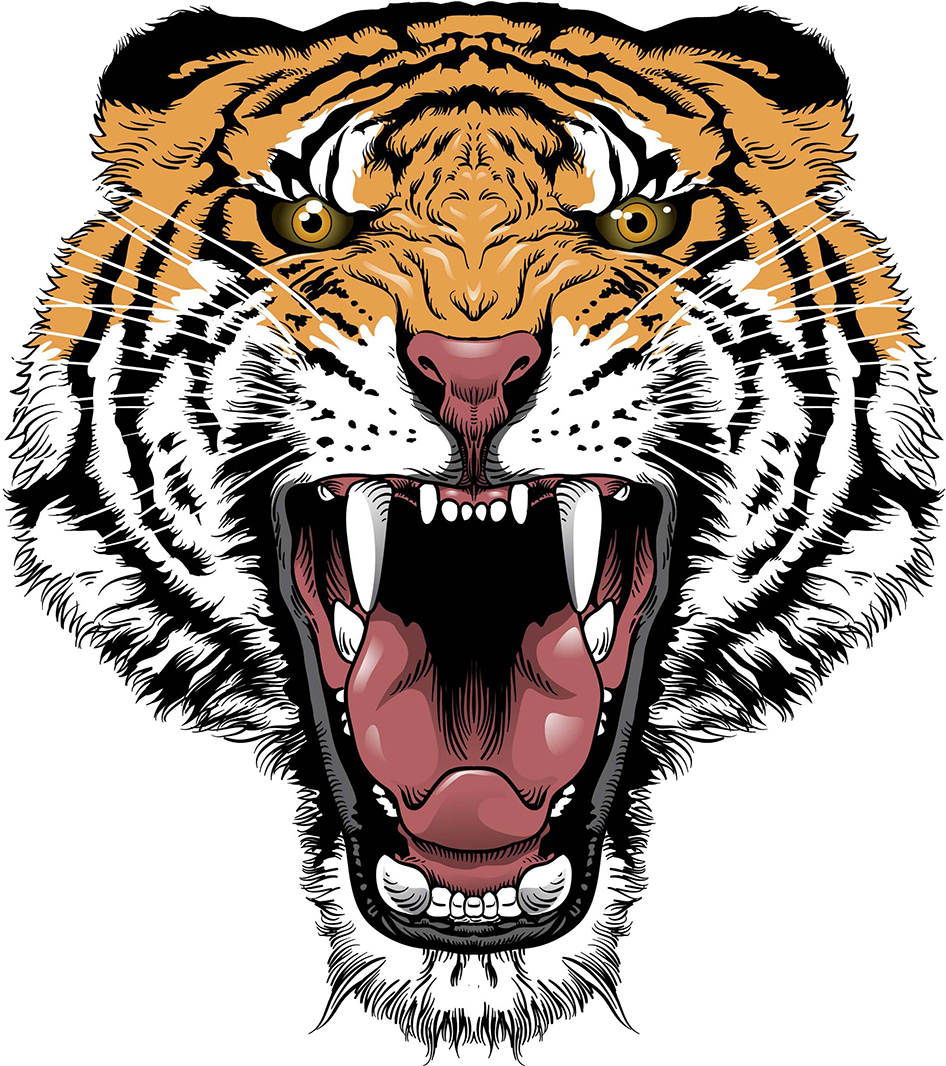 Siberian Tiger Lion Roar Clip Art - Siberian Tiger Lion Roar Clip Art (1000x1118)