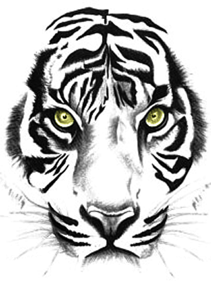 Tiger, Sumatra Tiger, Tierwelt, Tiger Tattoos Clipart - Outline Of A Tiger's Face (306x408)