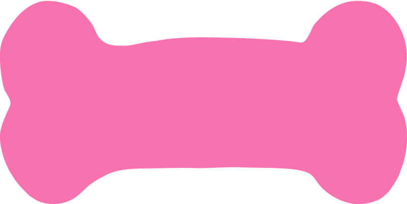 Dog Bone Pics - Pink Paw Patrol Bone (800x401)