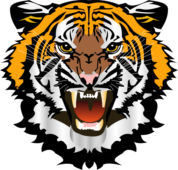 Tiger Png Images Transparent Free Download - Tiger Face Png (600x574)