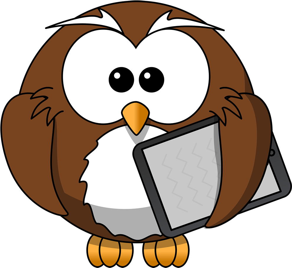 Cartoon Owl Transparent Background (1024x931)
