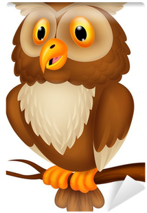 Cartoon Picture Of Owl (400x400)